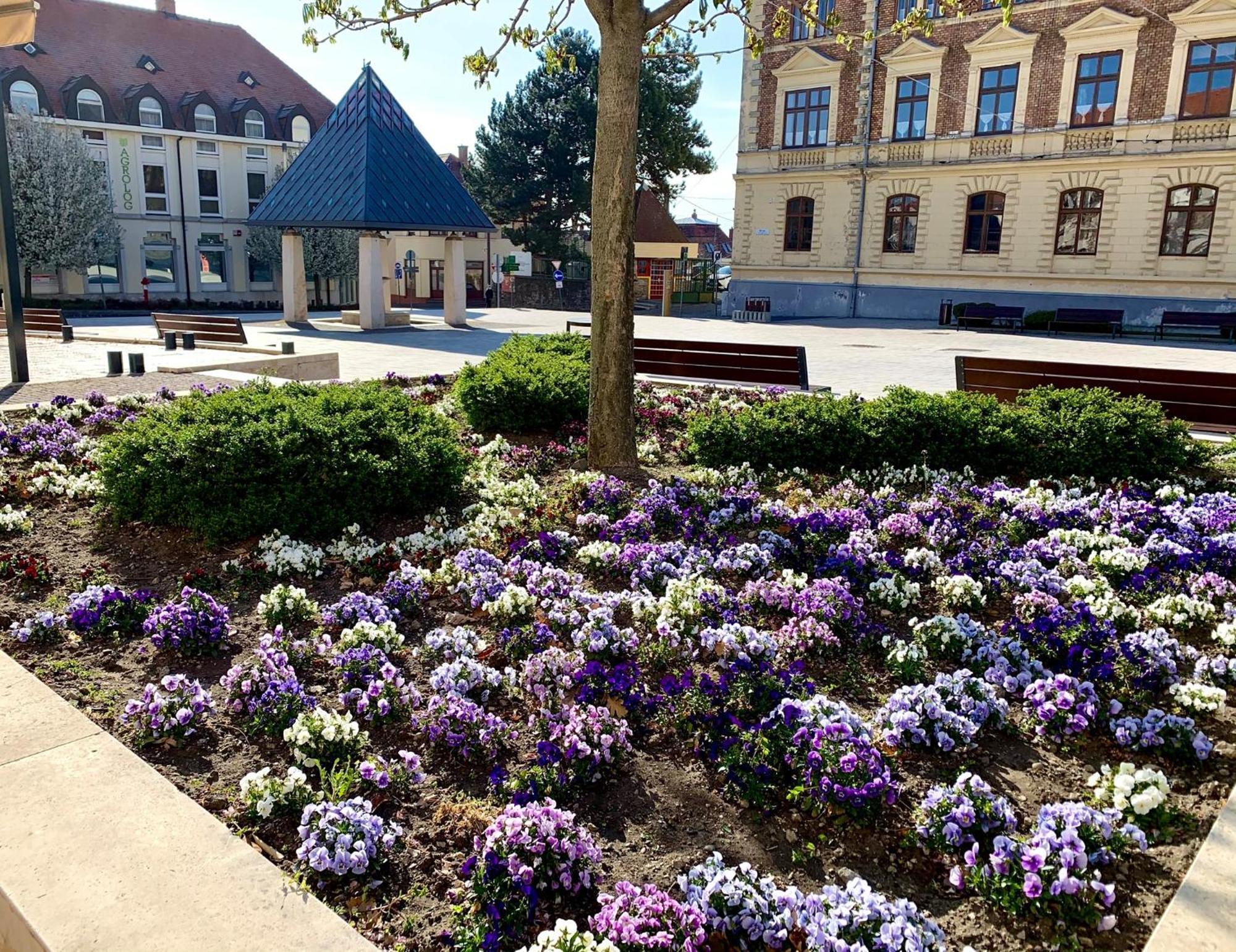 Ciao Lilla Apartman Keszthely Exterior foto
